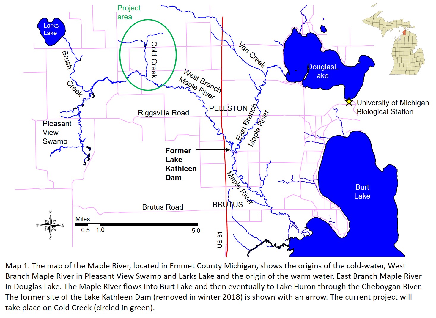 A map of the Maple River showing our study location on Cold Creek